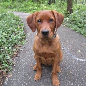 Meet your Posher, Mark